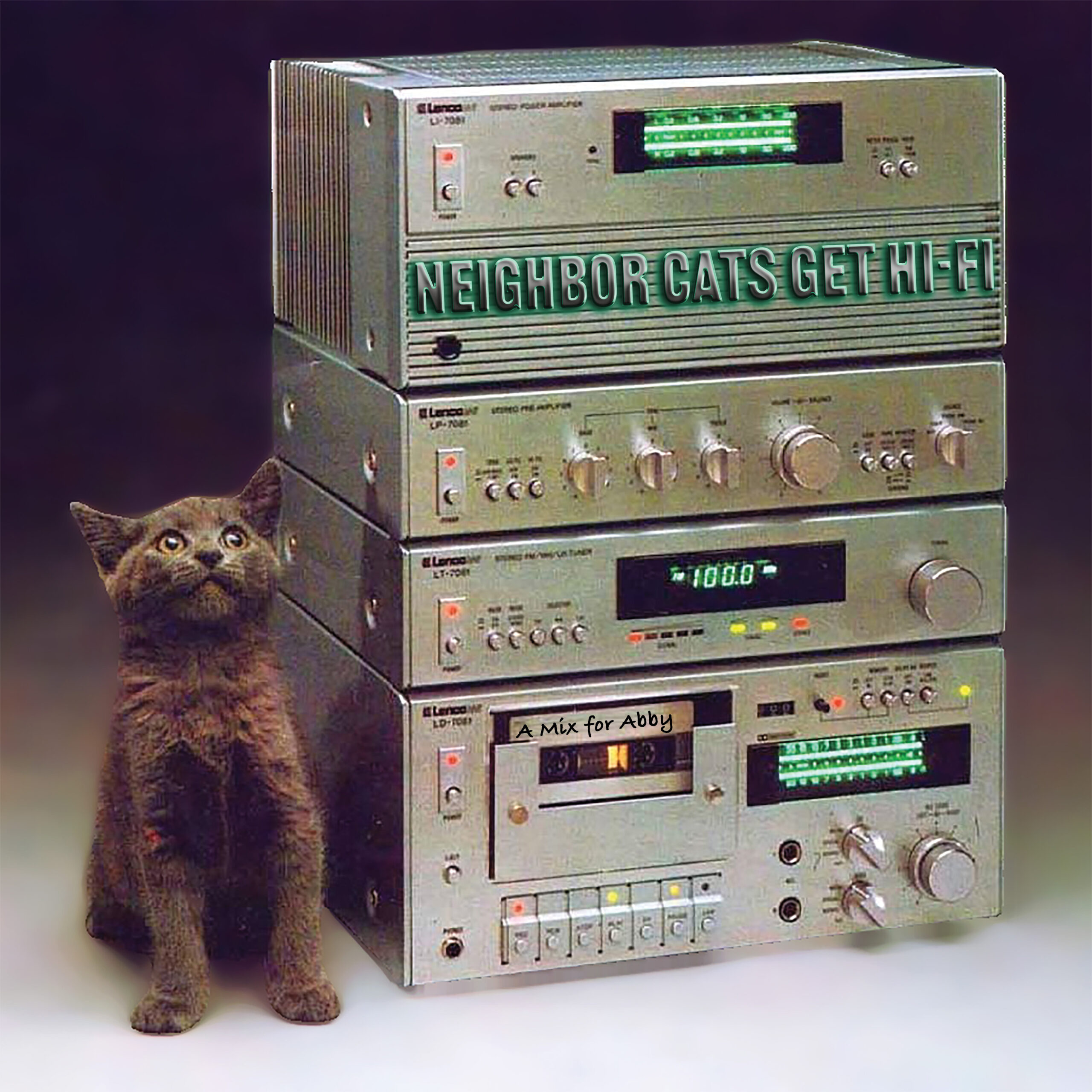 A black cat looks up while standing next to stereo equipment.